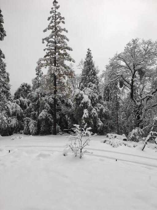 Uncle Grizz'S Cabin...Get Intouch With Nature Bass Lake Annex Eksteriør billede
