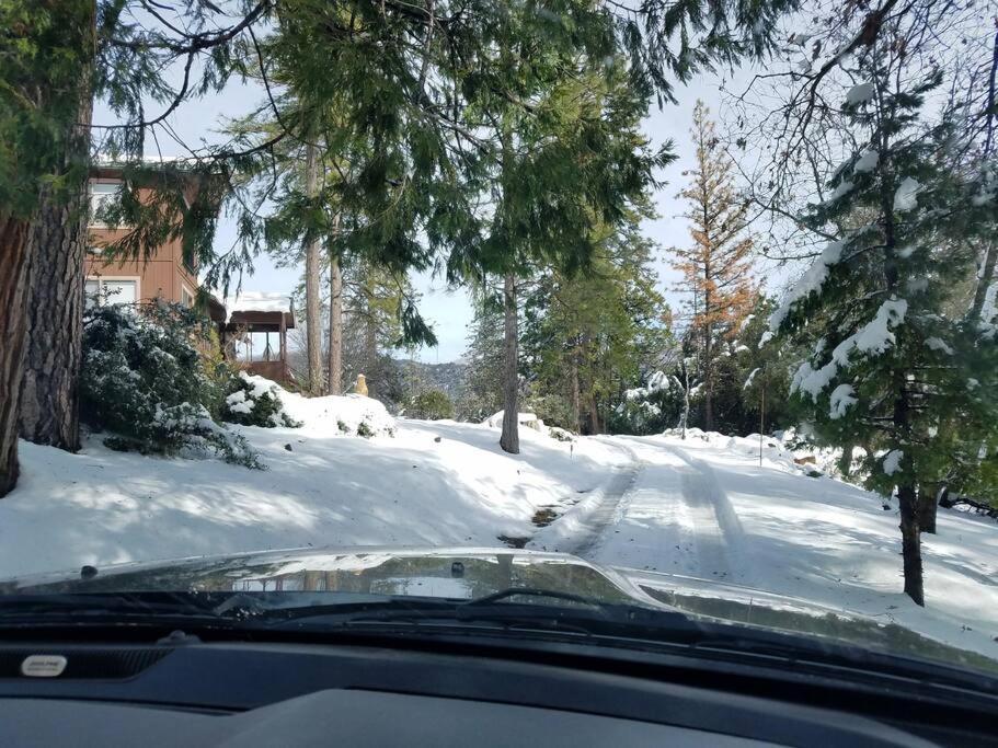 Uncle Grizz'S Cabin...Get Intouch With Nature Bass Lake Annex Eksteriør billede